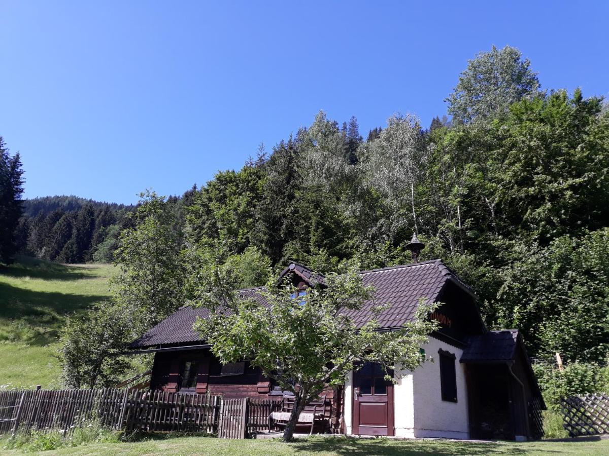 Umundumhuette Villa Katsch an der Mur Exterior photo